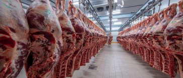 Coronavirus lockdown