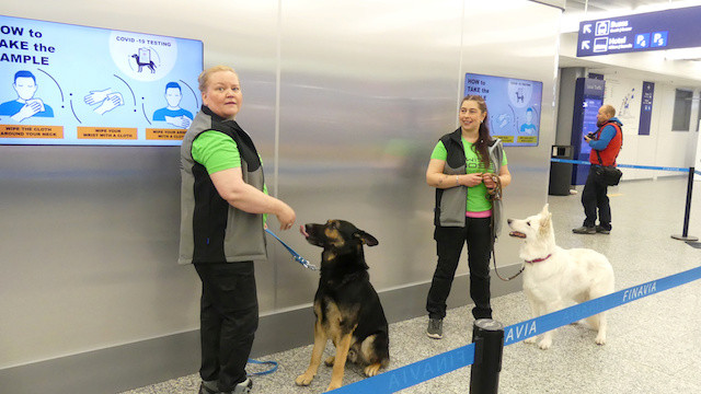 Helsinki’s airport using dogs to detect coronavirus