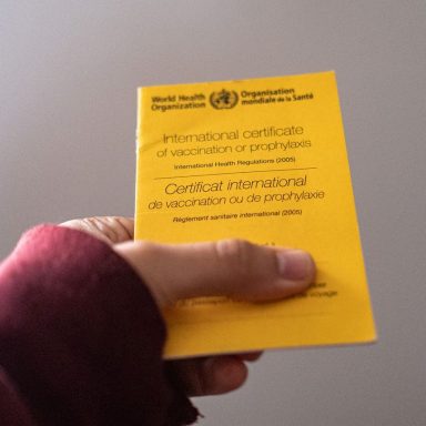 Digital vaccination certificates Germany main