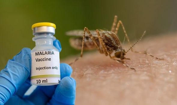 Malaria vaccine main